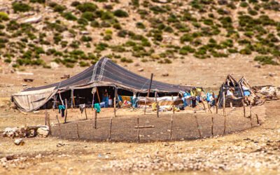 Van Woestijnwind tot Trouwfeest