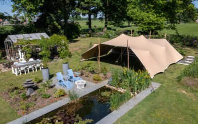 Sfeer, Vorm en Verhalen